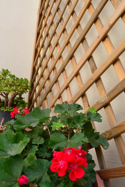 Anatolia Guest House Chania  Ngoại thất bức ảnh